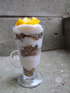FIT CHICKS Fruit Parfait Recipe 