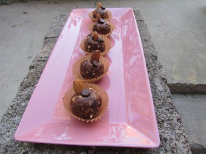 FIT CHICKS Chocolate Cherry Almond Balls Recips