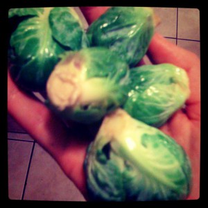 Brussels sprouts healthy eating tips