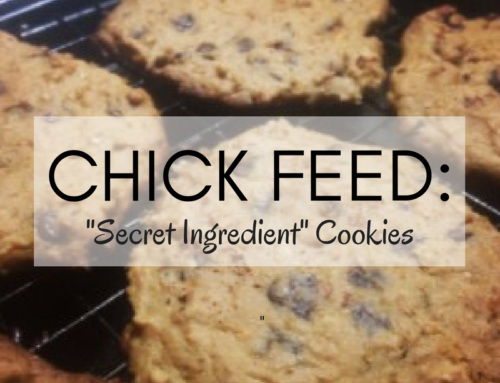 Chick Feed: “Secret Ingredient” Cookies – dairy free, gluten free, vegan recipe