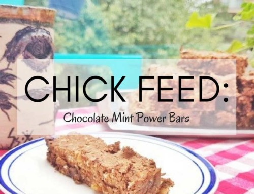 CHICK FEED: CHOCOLATE MINT POWER BARS (VEGAN, HIGH FIBRE RECIPE)